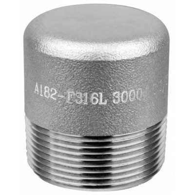 Stainless Steel Fittings A182 316L 3000# Round Pipe Plug